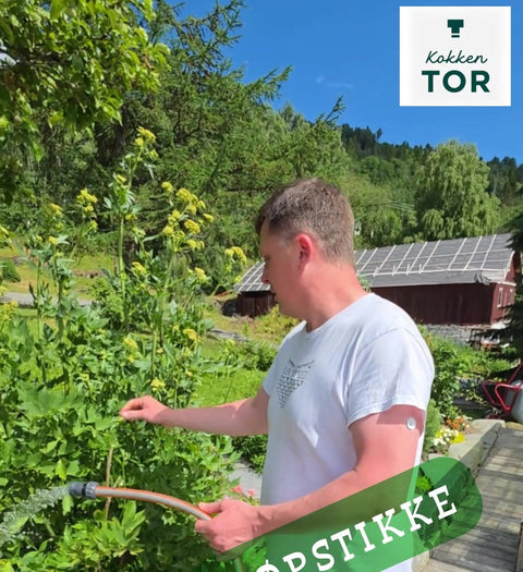 Sommer på Kramprud gård